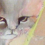 evidencepaint_thumb